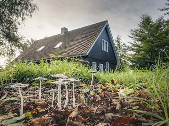 Herbstferien | Resort Hof van Saksen